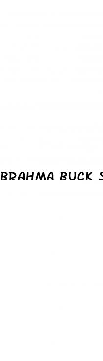 brahma buck shot male enhancement drink