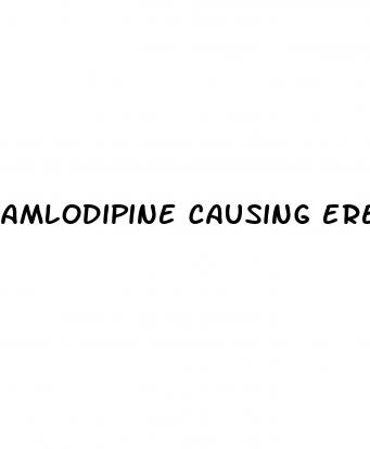 amlodipine causing erectile dysfunction