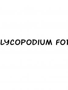 lycopodium for erectile dysfunction