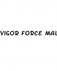 vigor force male enhancement supplement