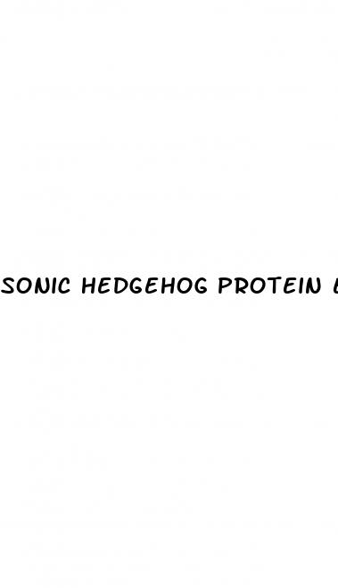 sonic hedgehog protein erectile dysfunction