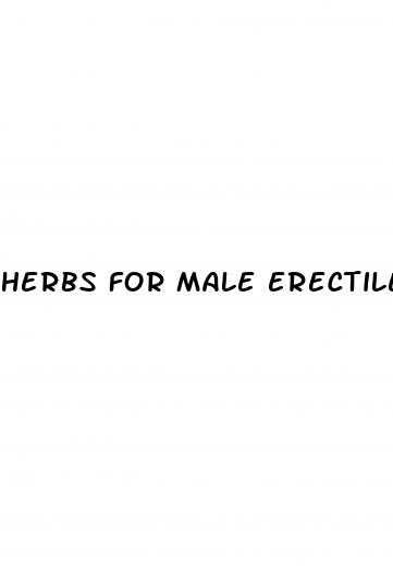 herbs for male erectile dysfunction