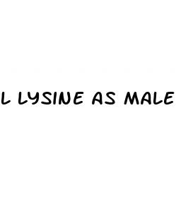 l lysine as male enhancement supplement