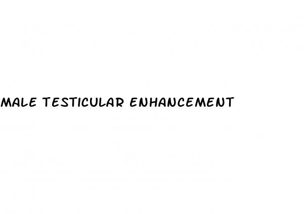 male testicular enhancement