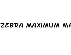 zebra maximum male enhancement