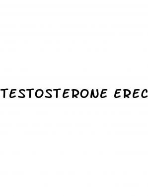 testosterone erectile dysfunction