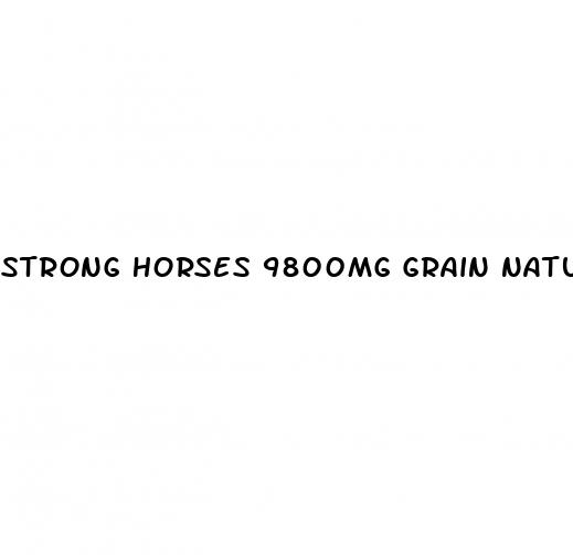 strong horses 9800mg grain natural ed pills