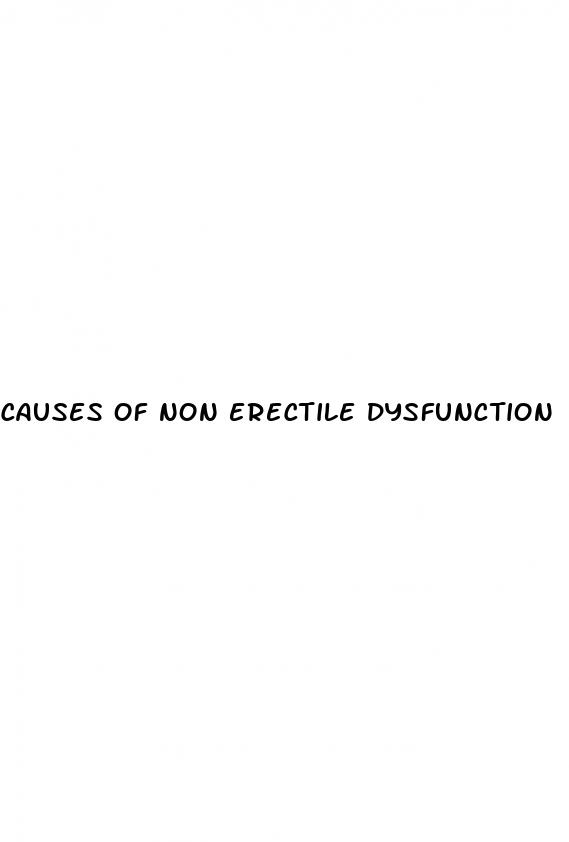 causes of non erectile dysfunction