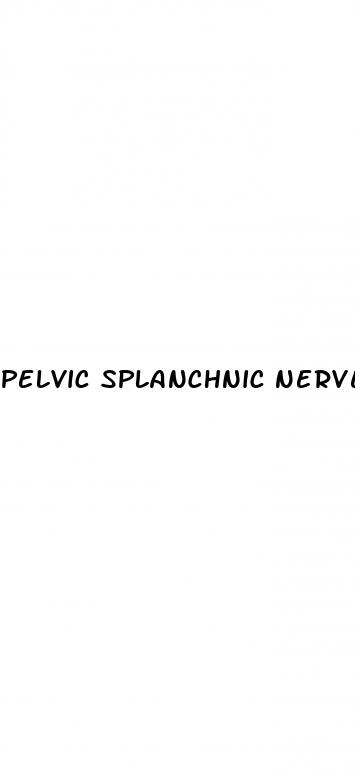 pelvic splanchnic nerves erectile dysfunction