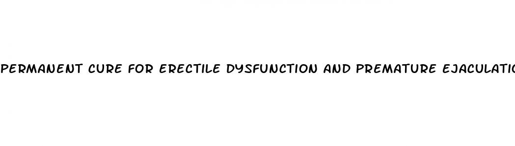 permanent cure for erectile dysfunction and premature ejaculation