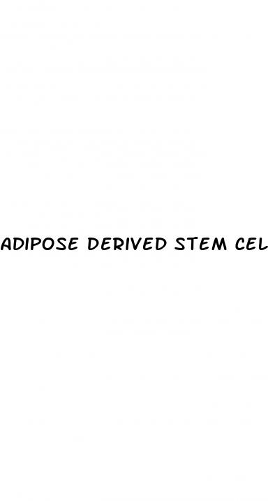 adipose derived stem cells erectile dysfunction