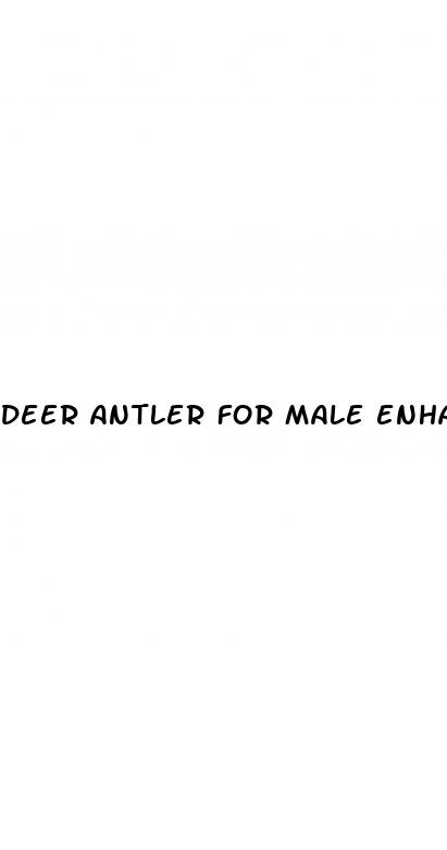 deer antler for male enhancement