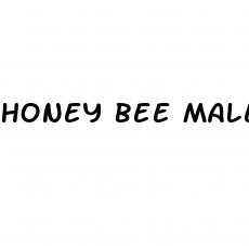 honey bee male enhancement