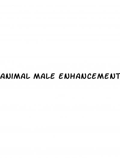 animal male enhancement pills