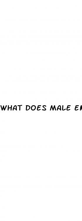 what does male enhancement do