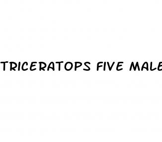 triceratops five male enhancement pills