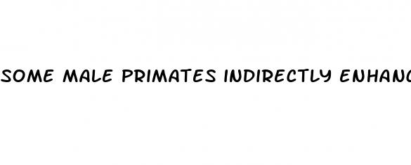 some male primates indirectly enhance their reproductive success by